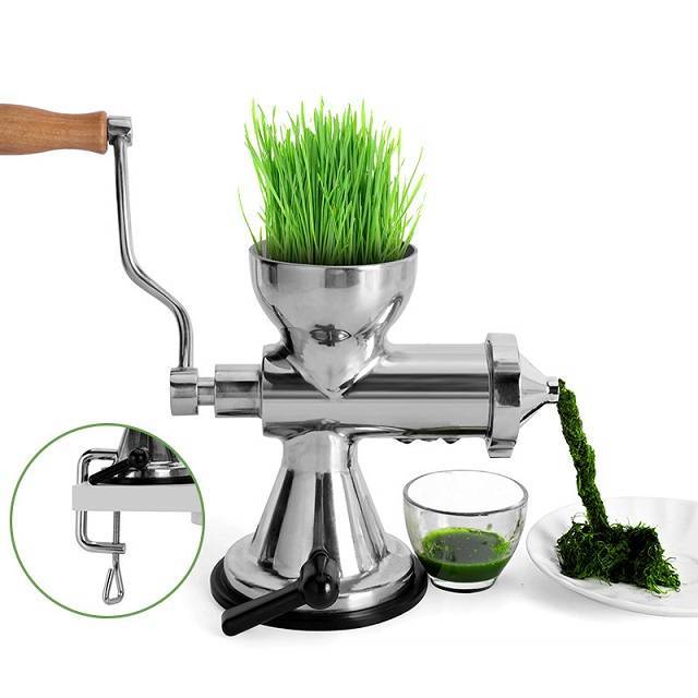 Máy ép chậm cỏ lúa mì, hoa quả loại inox dính bàn