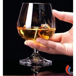 Ly Brandy bóng đèn 250ml