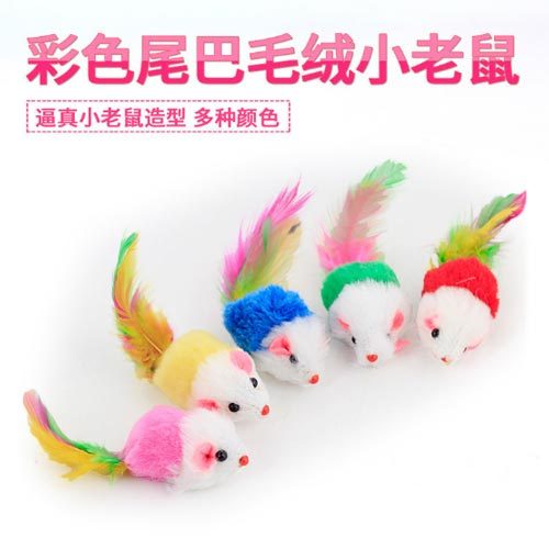 Đồ chơi chuột chút chít cho mèo