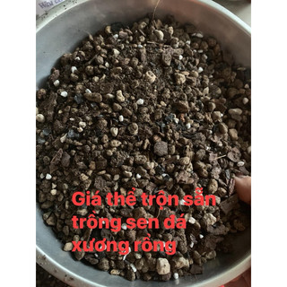 Gia thể trong sen đá xương rồng tự trộn túi zip 1 kg