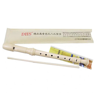(Hỏa tốc HCM) Sáo recorder DHS 8 lỗ cho học sinh