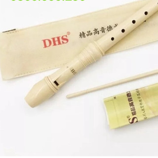(Hỏa tốc HCM) Sáo recorder DHS 8 lỗ cho học sinh