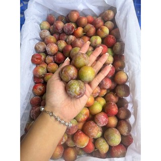 ( HỎA TỐC ) Mận róc tím giòn