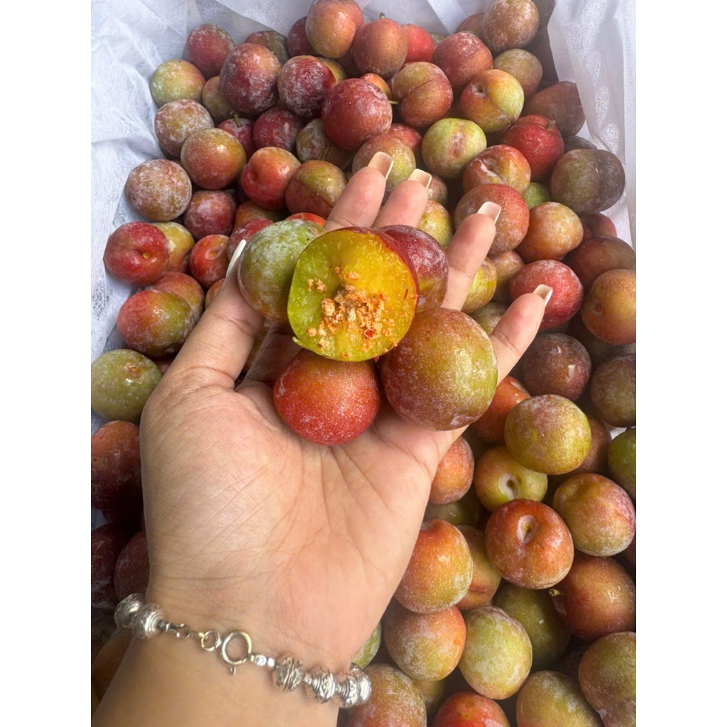 ( HỎA TỐC ) Mận róc tím giòn