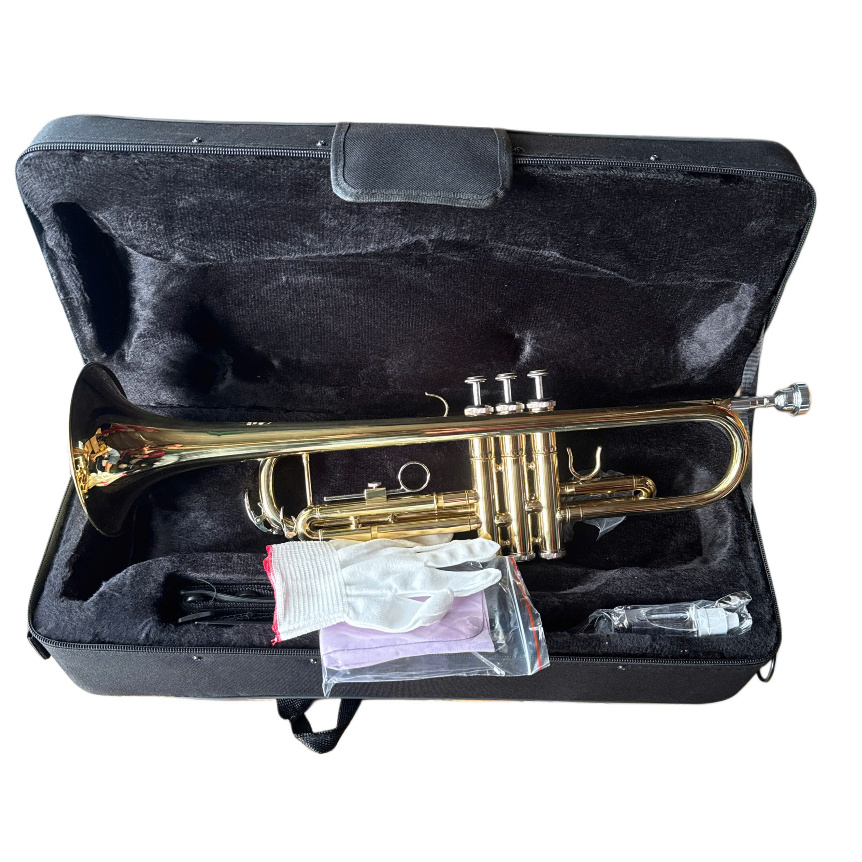 Kèn trumpet Victo màu vàng giá rẻ( tặng dầu kèn) | TRỐNG KÈN