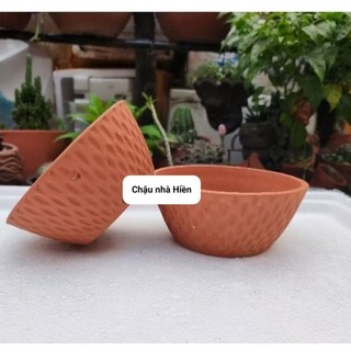Chậu đất nung - chậu chén gân nhỏ