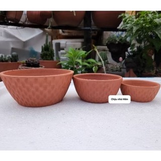 Chậu đất nung - chậu chén gân nhỏ