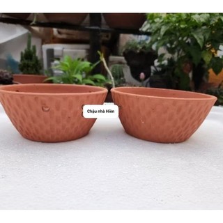 Chậu đất nung - chậu chén gân nhỏ