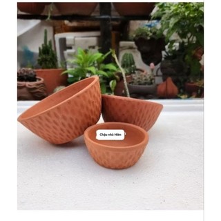 Chậu đất nung - chậu chén gân nhỏ