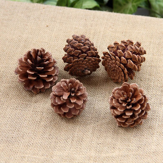 Set 10 quả thông khô mini size 4-5cm