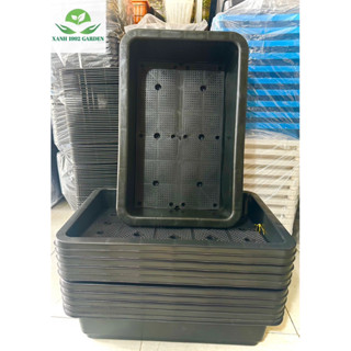 COMBO 03 Khay Nhựa Trồng Rau Sạch Thông Minh (65 x 42 x H16cm)