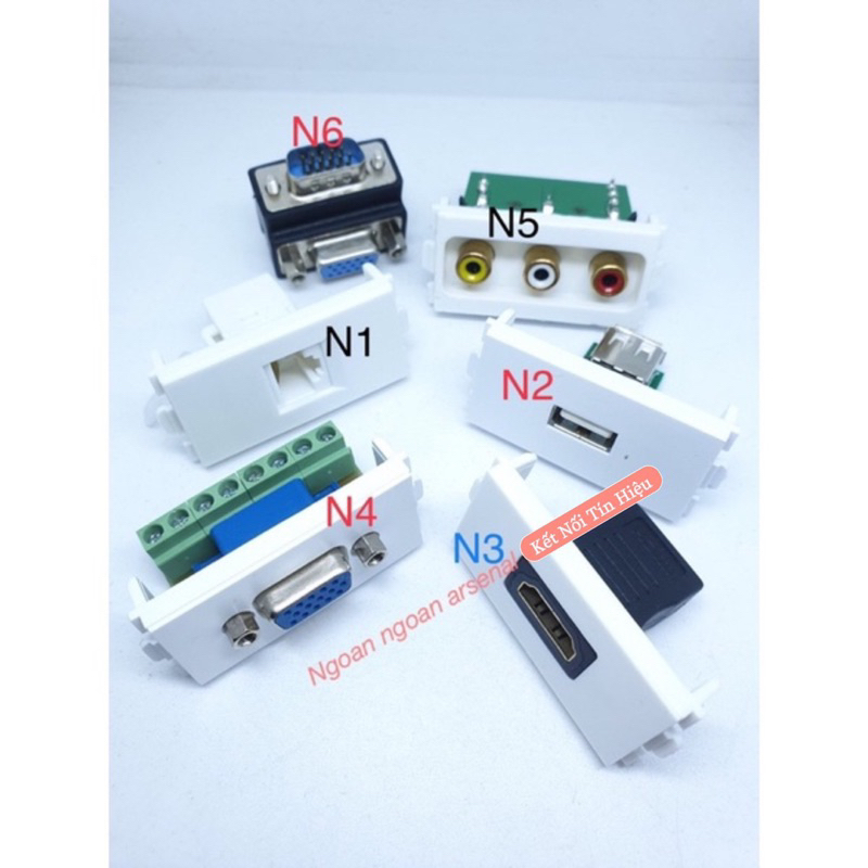 jack hạt HDMI, jack VGA, jack USB, jack mạng, jack RCA rời bắt mặt tín hiệu