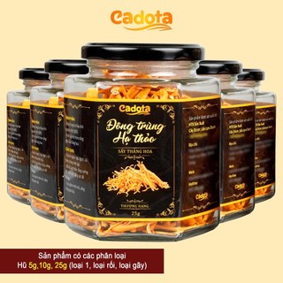 Nấm Đông Trùng Hạ Thảo Khô Sấy Thăng Hoa CADOTA, Giá Bán Buôn, Xưởng Trực Tiếp Sản Xuất