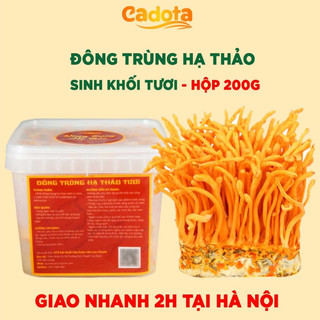 Đông trùng hạ thảo tươi cao cấp Cadota Hũ 200Gr, nấm thượng hạng, nuôi khép kín vô khuẩn