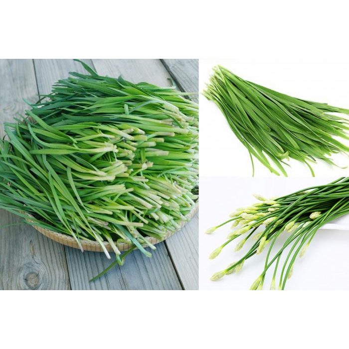 Gói 10gr hạt giống lá hẹ ta