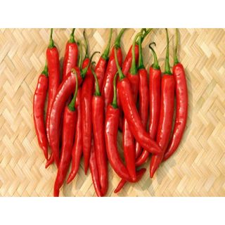 Hạt Giống Ớt Trái Dài Hàn Quốc