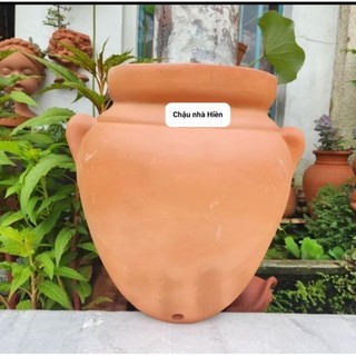 Chậu đất nung - chậu 2 quai (có thể treo ốp tường)