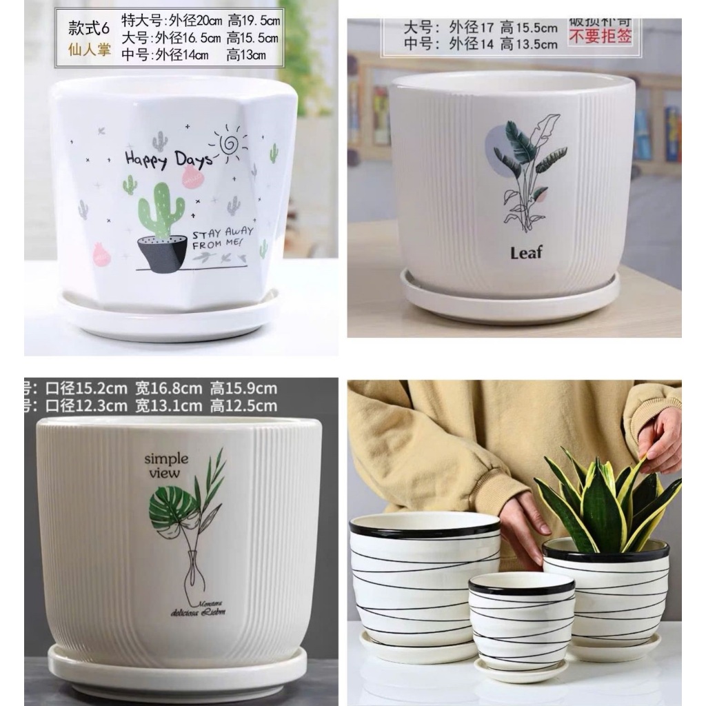  Chậu hoa gốm sứ in hình họa tiết có đĩa đựng nước dính liền - Chậu trồng cây gốm sứ men bóng 