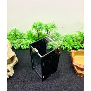 hộp nuôi nhện sling cao cấp 5-5-10cm