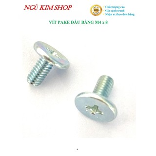 VÍT PAKE ĐẦU BẰNG M4 x 8 _ BỊCH 100 CON