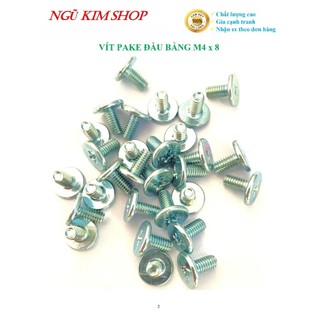 VÍT PAKE ĐẦU BẰNG M4 x 8 _ BỊCH 100 CON