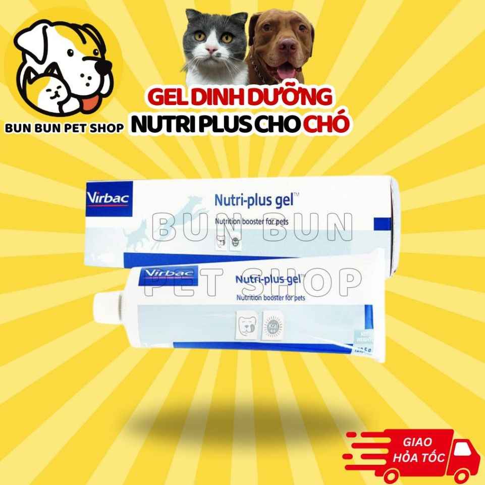 Gel dinh dưỡng Nutriplus (Nutri plus/Nutri gel) cho chó