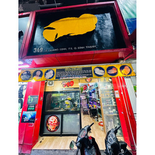 kính kè IPhone cao cấp dành cho cá la hán