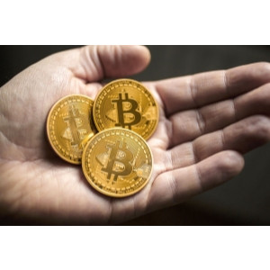 Đồng Xu Bitcoin Mạ Vàng 24K