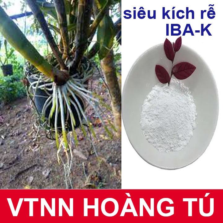 Siêu kích thích ra rễ - tan trong nước - IBA-K 98% - gói 50 g