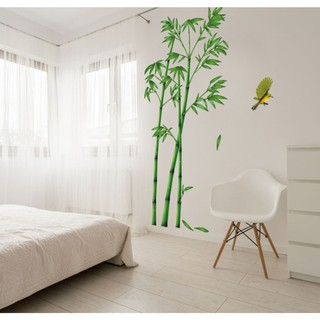 Decal dán tường Tre xanh