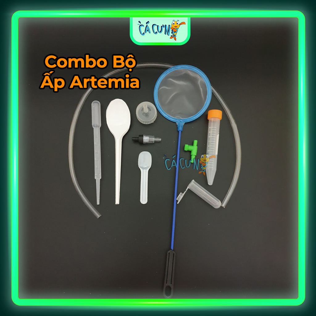 Combo Bộ Ấp Arte.mia (Hàng Công Ty)