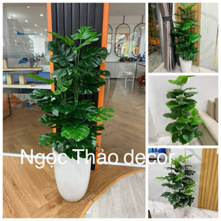 Cây trầu bà giả 1m2 - Cây lá rùa giả, cây giả trang trí