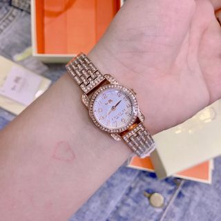 Đồng Hồ Nữ Coach Đính Full Đá Điểm Số 12 Mốc Giờ 2 Kim 26mm