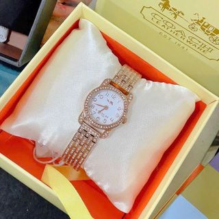 Đồng Hồ Nữ Coach Đính Full Đá Điểm Số 12 Mốc Giờ 2 Kim 26mm