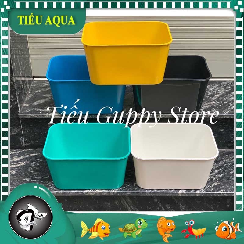 KHAY NHỰA NUÔI CÁ 7 lít 30x22x16cm, Kinh Tế và Tiện Lợi