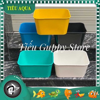 KHAY NHỰA NUÔI CÁ 7 lít 30x22x16cm, Kinh Tế và Tiện Lợi