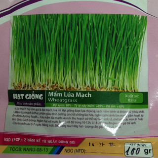 Gói 100g Hạt giống mầm lúa mạch - đại mạch