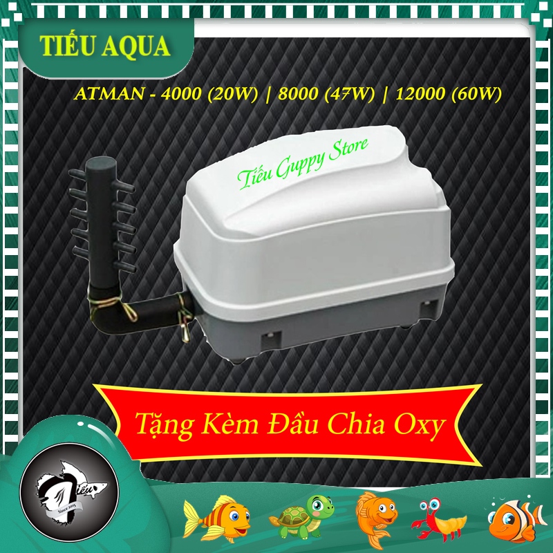 Máy sủi OXY ATMAN HP-4000 siêu mạnh và chạy êm