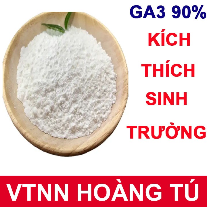 GA3 - Gibberellic Acid 95% - ga3 nguyên chất