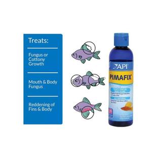 API PIMAFIX - Thảo dược chăm sóc cá cảnh 118ml 237ml 473ml