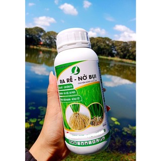 Ra rễ nở bụi 500ML