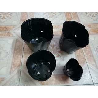 Bầu ươm cây giống 18*16