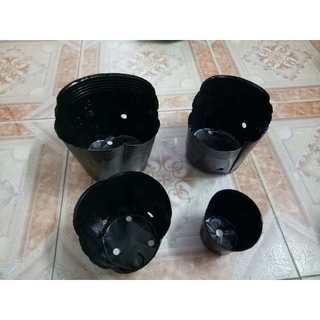 Bầu ươm cây giống 18*16