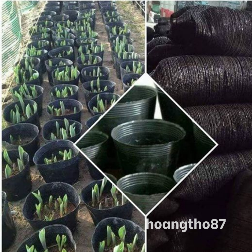 Bầu ươm cây giống, bầu trồng cây 30*28