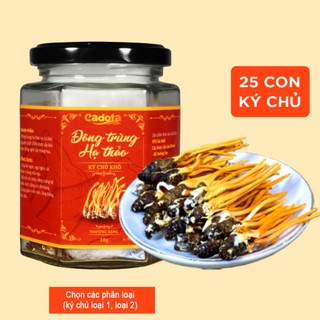 [TRỢ GIÁ] 25 C Đông Trùng Hạ Thảo Ký Chủ Nhộng Tằm Sấy Thăng Hoa Cao Cấp (có 2 phân loại ký chủ)