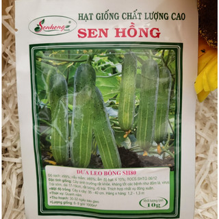  Hạt Giống Dưa Leo lai F1 Sen Hồng SH 80  Gói 10 Gam  
