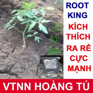 ROOT KING - KÍCH THÍCH RA RỄ CỰC MẠNH (GÓI 50 gam)