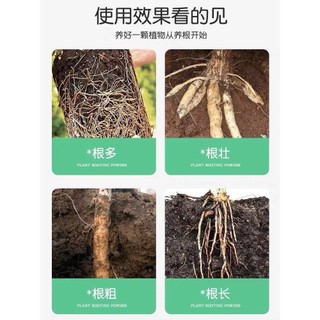 ROOT KING - KÍCH THÍCH RA RỄ CỰC MẠNH (GÓI 50 gam)