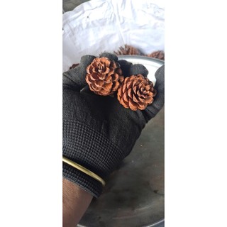 Set 50 quả thông nhỏ [ combo 50 trái thông loại nhỏ cao dưới 5cm]
