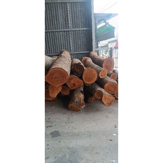 mặt bàn gỗ xà cừ